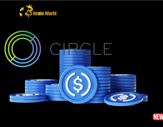 circle usdc 1