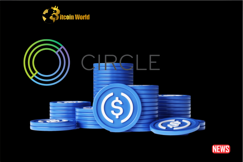 circle usdc 1