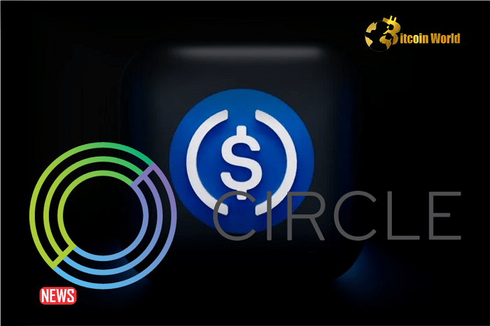 Circle Extends Programmable USDC Wallets to the Metaverse