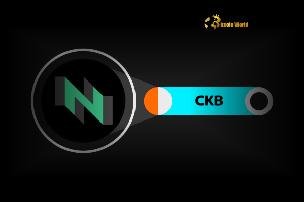 CKB Token: Urgent DAXA Warning Issued by South Korea's Crypto Alliance