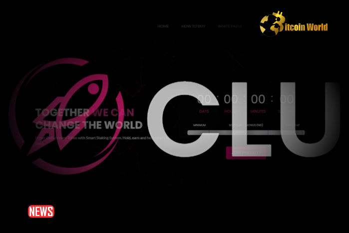 CluCoin Founder Pleads Guilty To Stealing Over $1M Of Investor Funds For Online Gambling