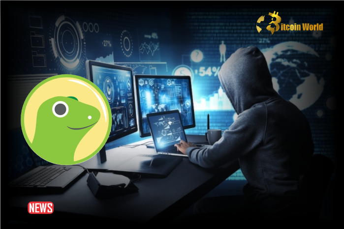 CoinGecko Suffers Data Breach Through Third-party Service Provider