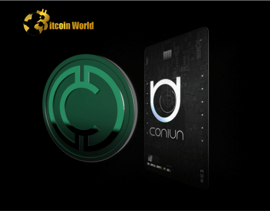 Coniun Tokenizes the NFT Ecosystem and Announces Its First IDO