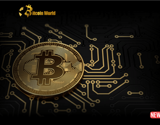 crypto accounting