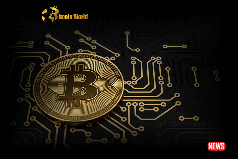 crypto accounting
