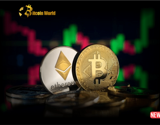 crypto accumm
