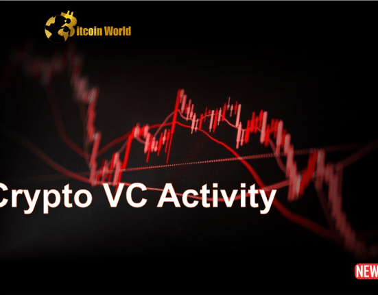 crypto activity