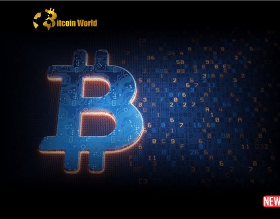 crypto adoption