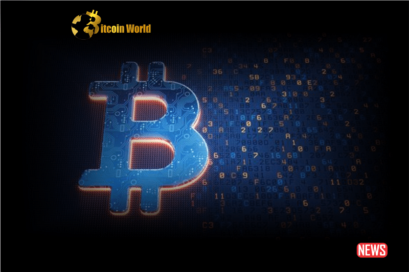 crypto adoption