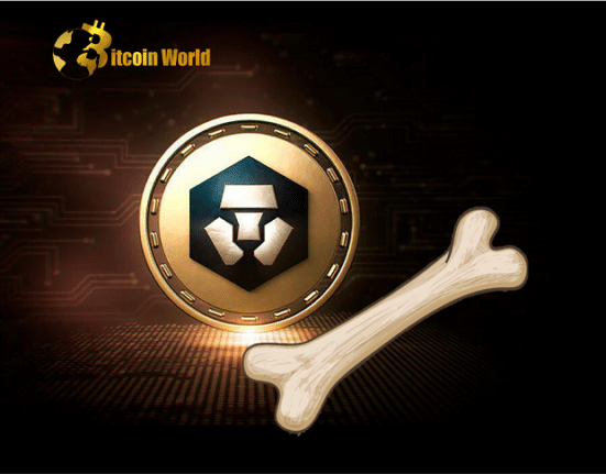 crypto bone