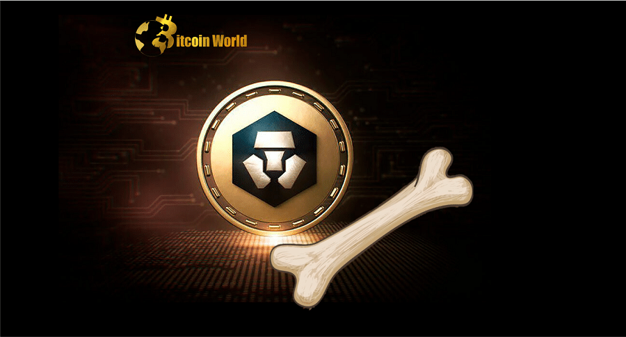 crypto bone