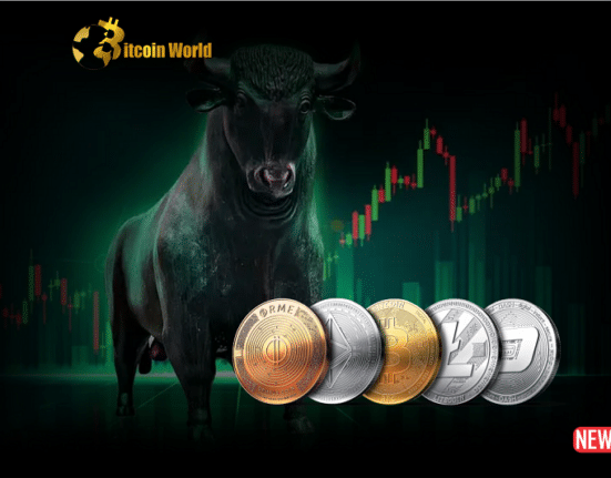 crypto bull