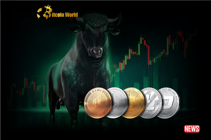 crypto bull