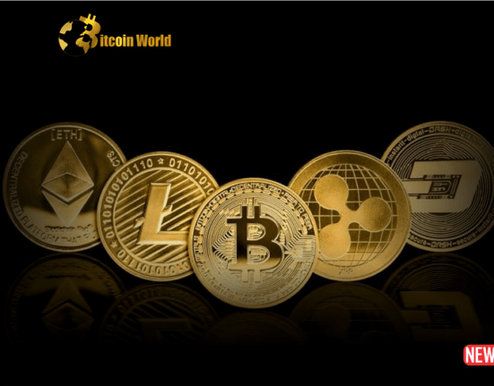 crypto dawn 1