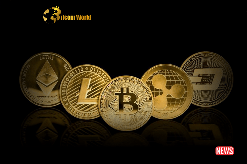 crypto dawn 1