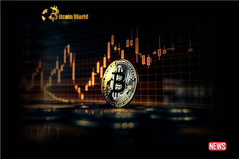 crypto invest