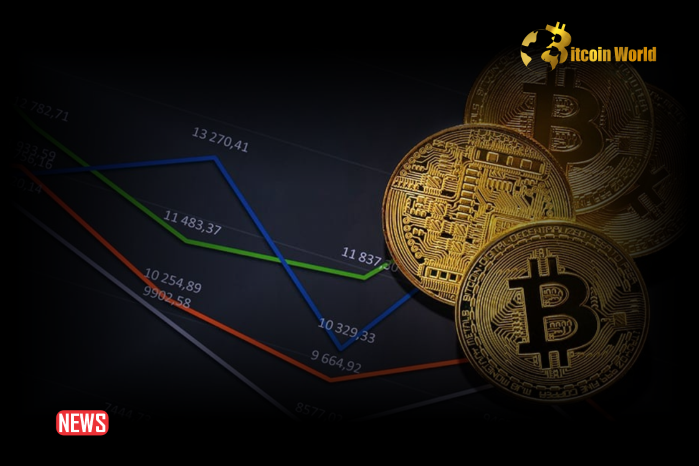 Crypto Market's Weekly Winners And Losers – HNT, JUP, NOT, BRETT