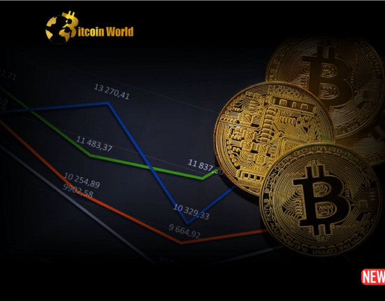 crypto market 1