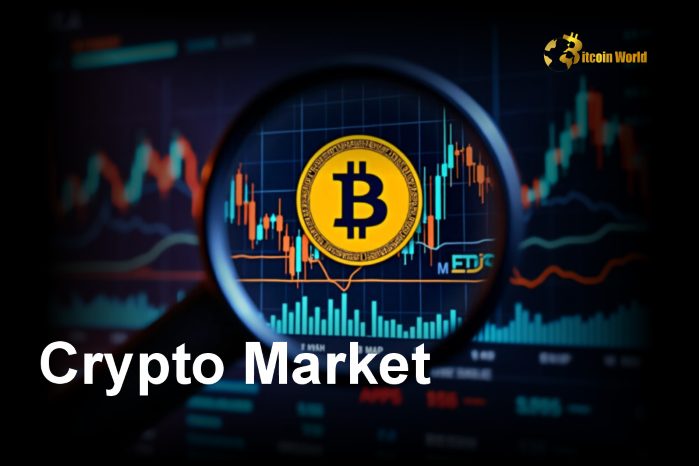 Crypto Market Grows 45% in November, Surpassing $3.3 Trillion