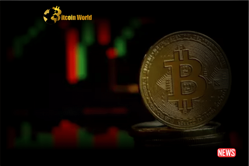 crypto market slip