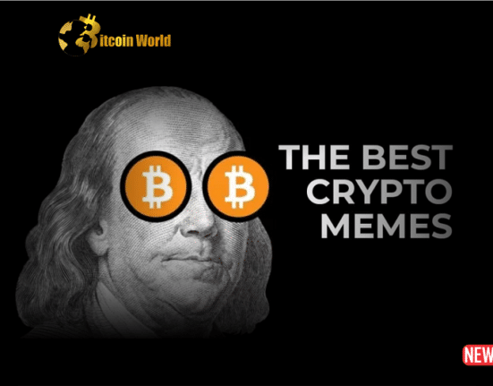 crypto meme