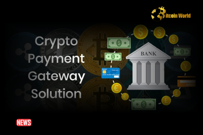 Crypto Payment Solutions: The Future of Digital Transactions