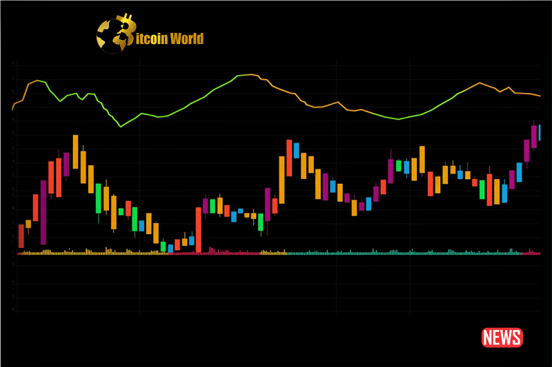 crypto price patr