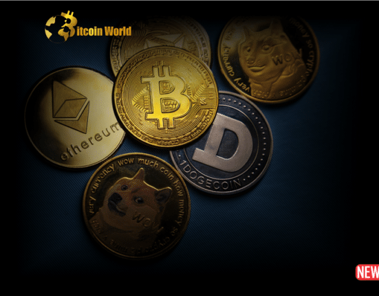 crypto stumb