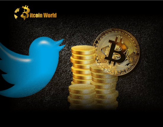 Crypto Twitter’s Mixed Reactions to a New Rollup Solution for Bitcoin