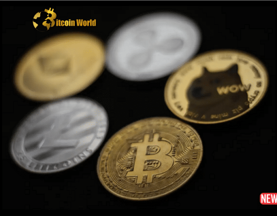 crypto volat