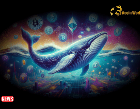 Crypto Whales Sold Holdings Before the Market Crash