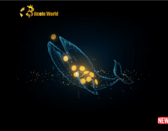 crypto whale