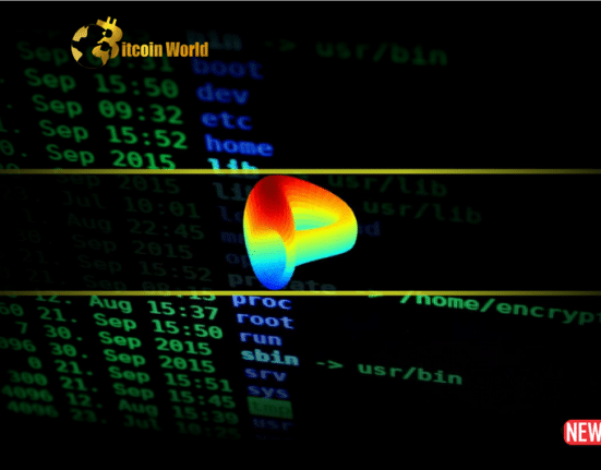 curve finance hacker