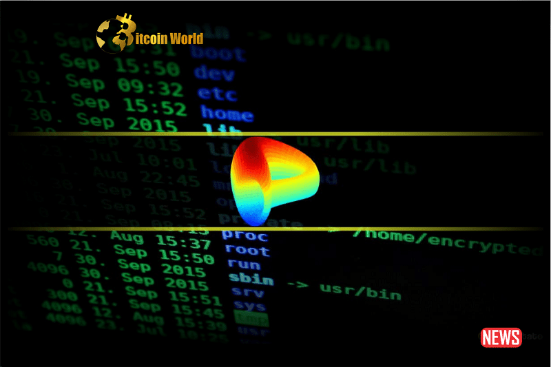 curve finance hacker