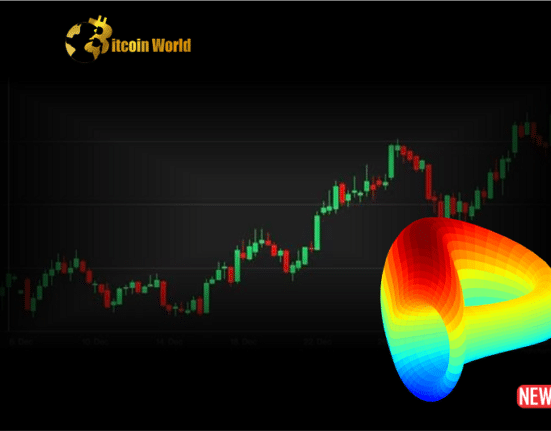 curve rally