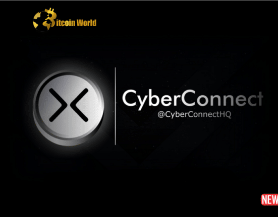 cyberconn