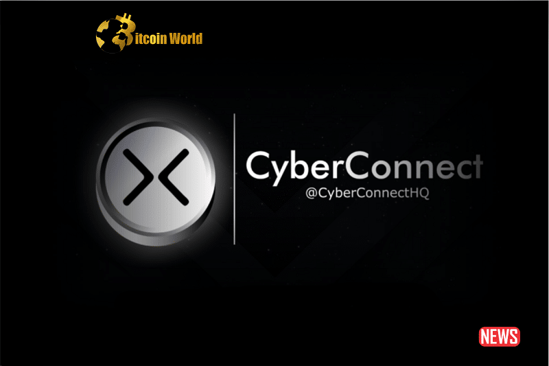 cyberconn