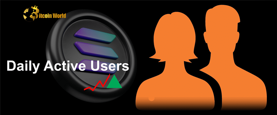 daily active users