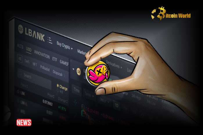 LBank Exchange Will List DED On June 24, 2024