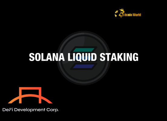 DeFi Development Corp. Unleashes Power of Liquid Staking on Solana