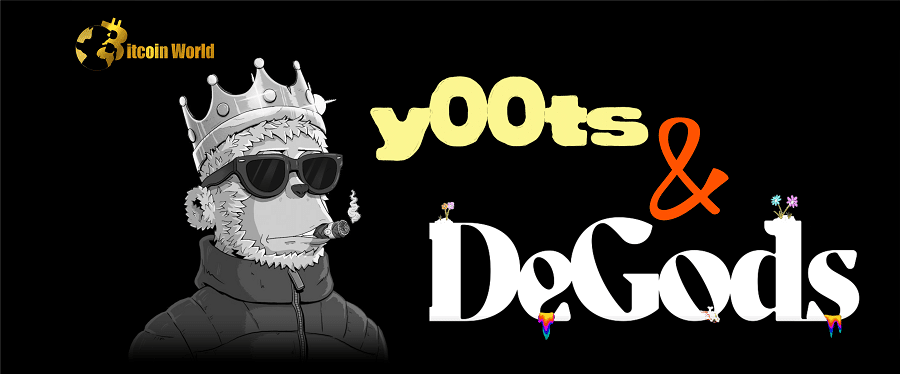 DeGods and Y00ts NFTs are Bridging off Solana. Here's why