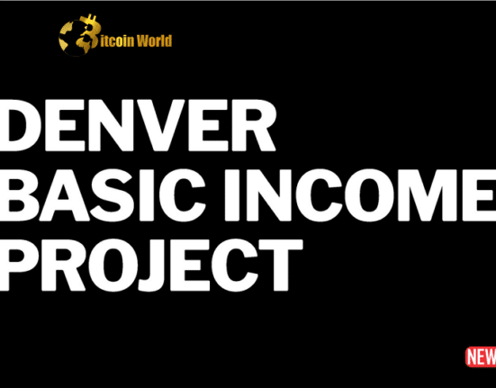 dever basic income