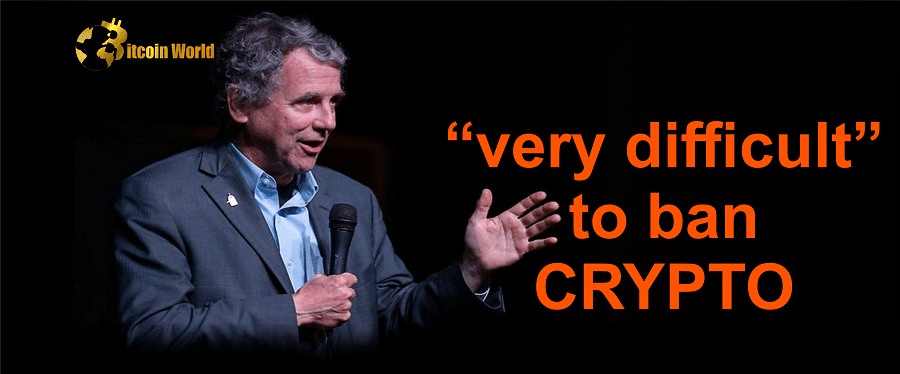 US Senate Banking Chair Floats the Possibility of Banning Crypto