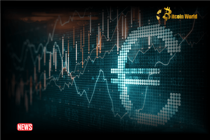 digital euro 3
