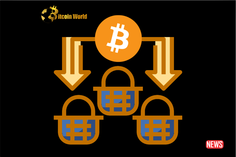 diversification crypto market