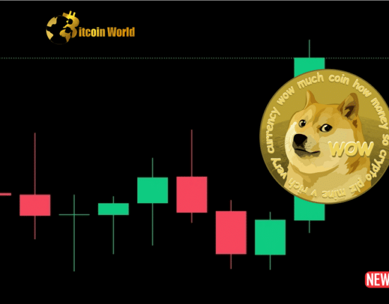 doge analysis