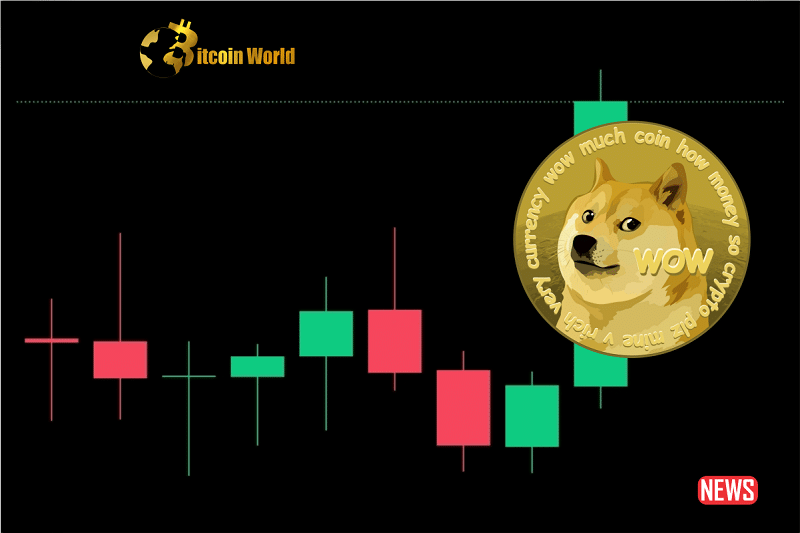 doge analysis