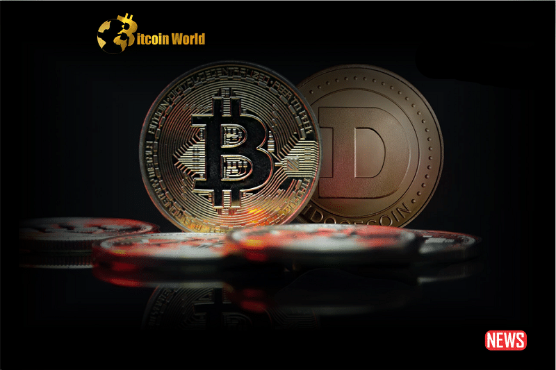 doge btc 1