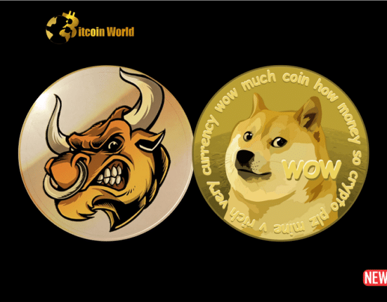 doge bull