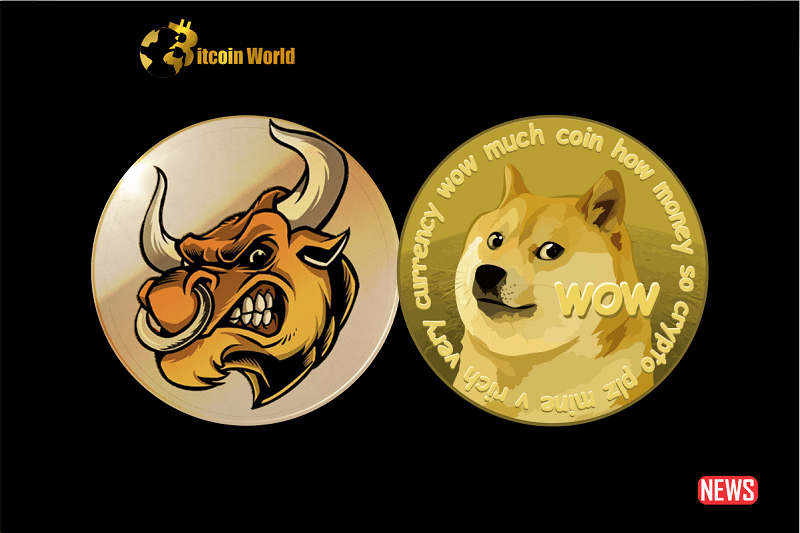 doge bull